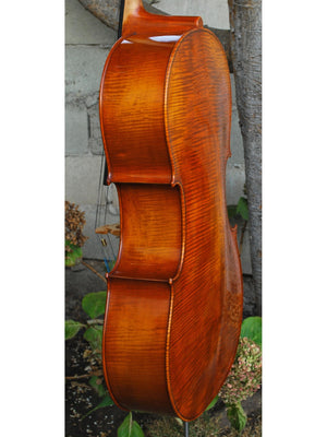 Angel Taylor model 420 7/8 Cello