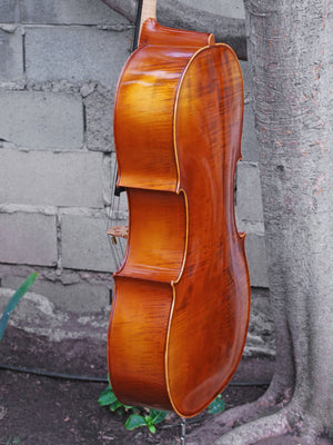 Lothar Semmlinger Cello 4/4 Cello