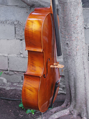 Lothar Semmlinger Cello 4/4 Cello