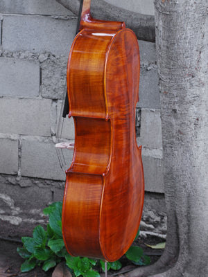 Vivo 'Prelude' Strad - 4/4 Cello