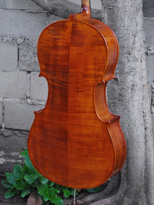 Vivo 'Prelude' Strad - 4/4 Cello