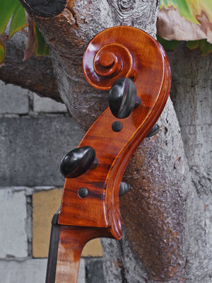 Vivo 'Prelude' Strad - 4/4 Cello