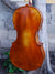 Johannes Seibert model 600 - 4/4 Cello (A)