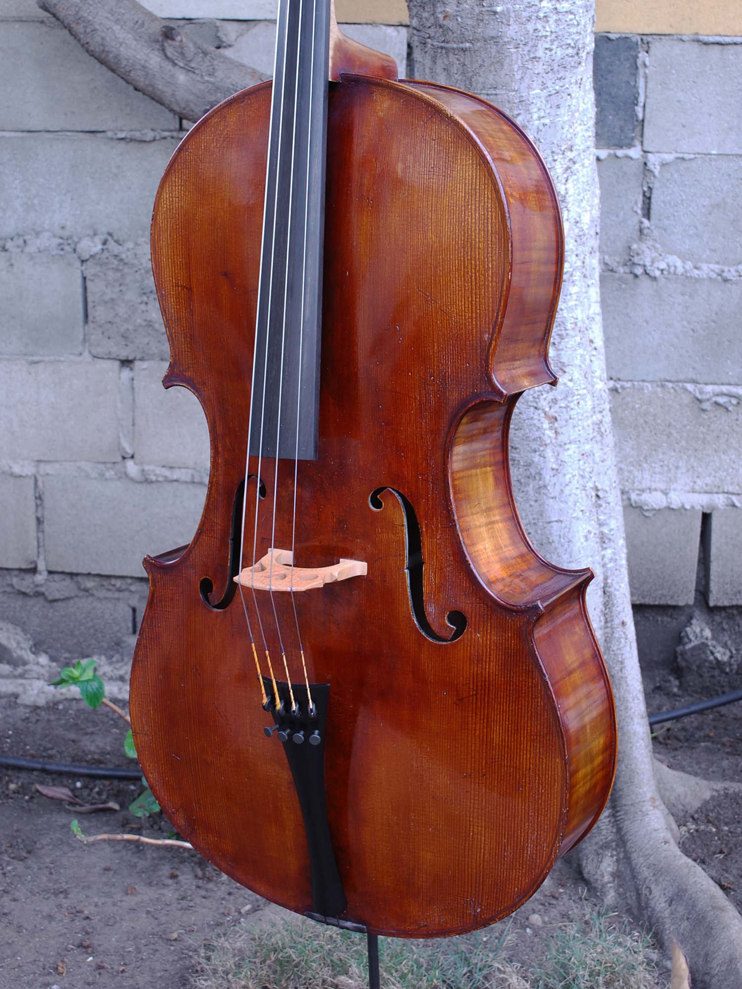 Jim Wimmer 4/4 Cello