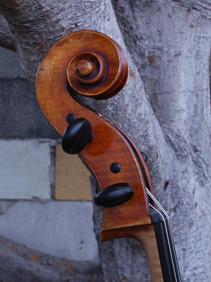 Jim Wimmer 4/4 Cello