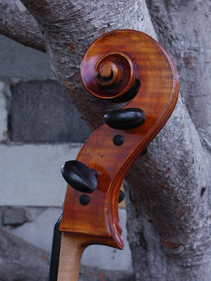 Jim Wimmer 4/4 Cello